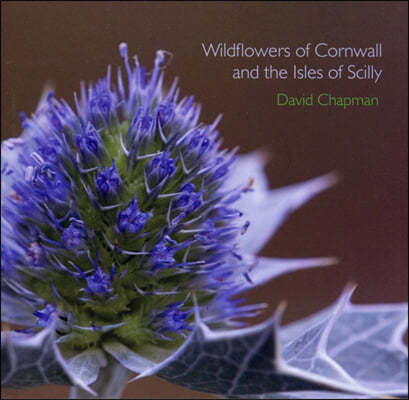 Wildflowers of Cornwall and the Isles of Scilly