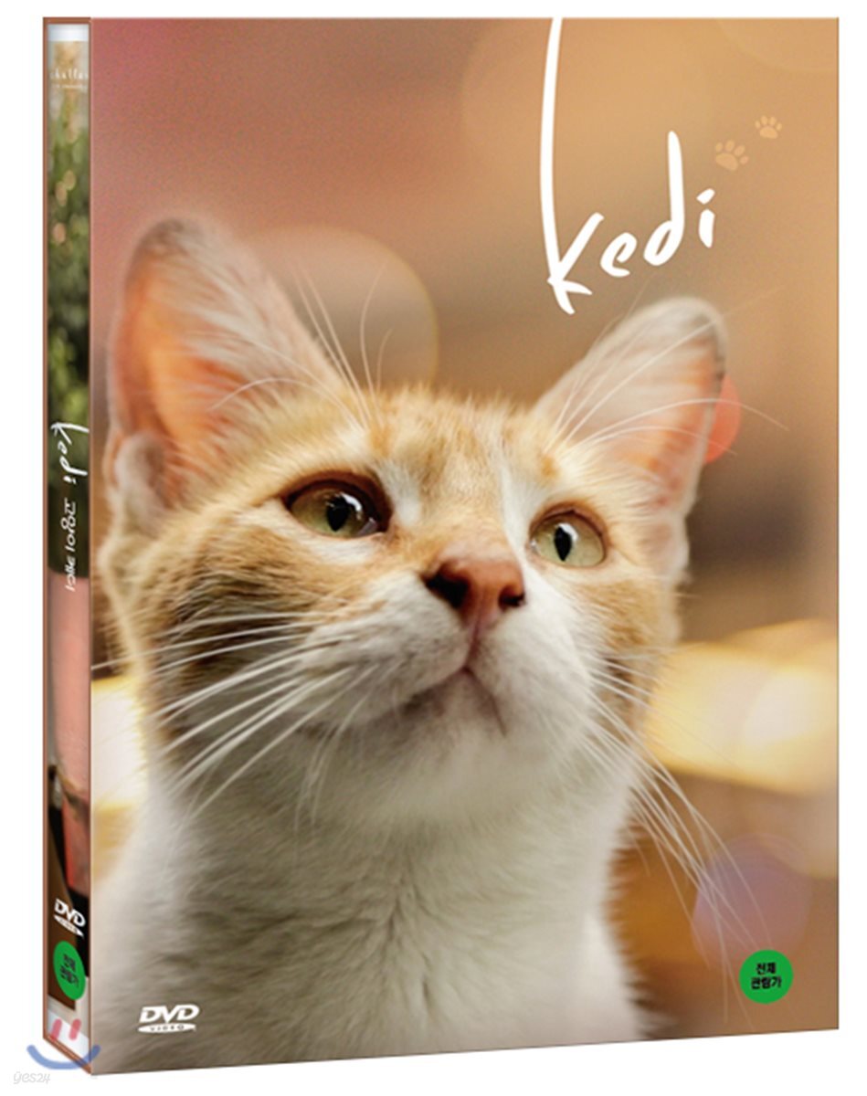 고양이 케디 (1Disc)