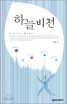 하늘비전