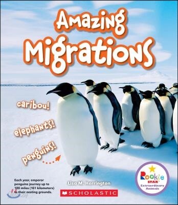 Amazing Migrations: Caribou! Elephants! Penguins! (Rookie Star: Extraordinary Animals)