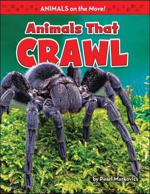 Animals That Crawl