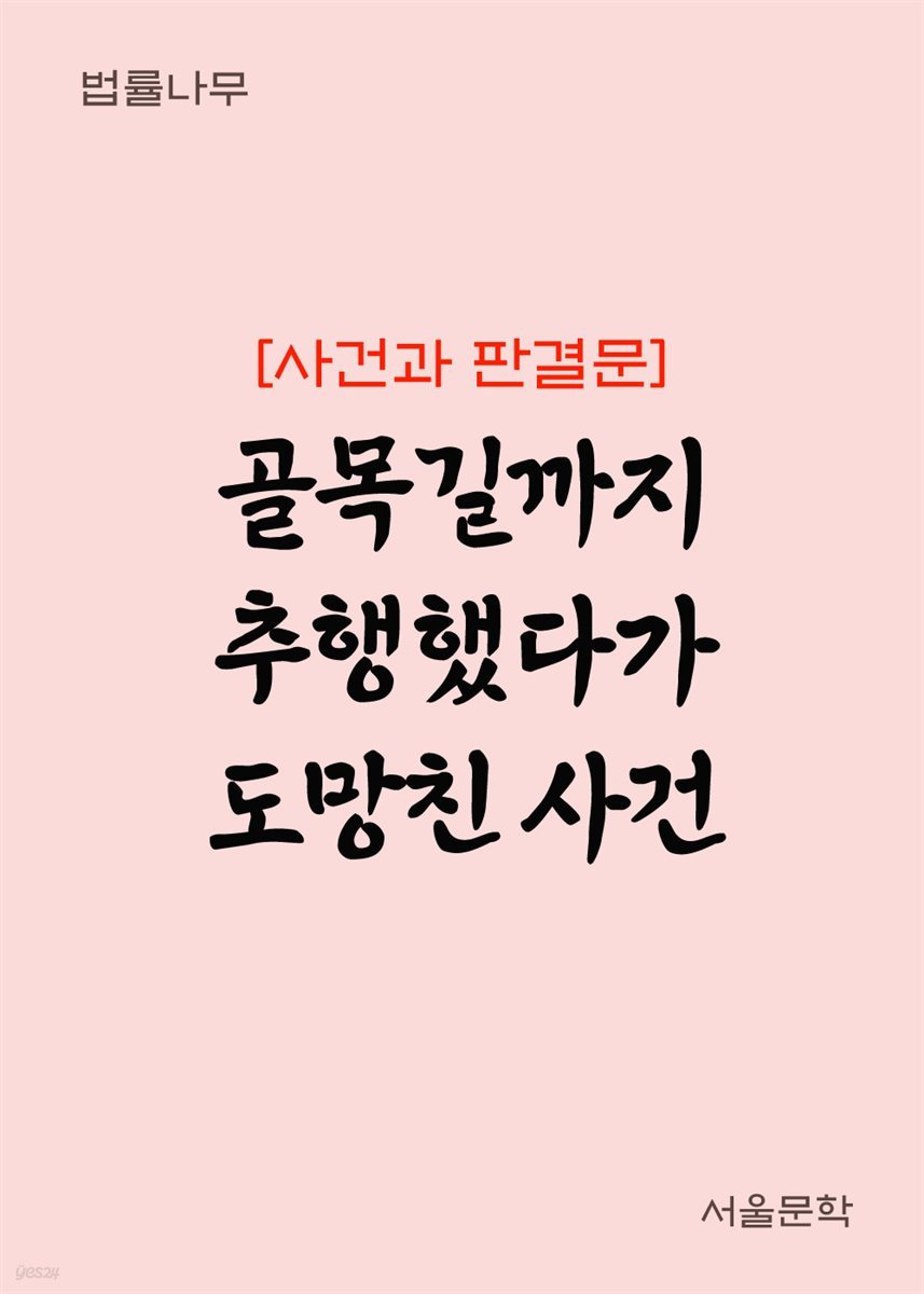 골목길까지 추행했다가 도망친 사건 : 사건과 판결문