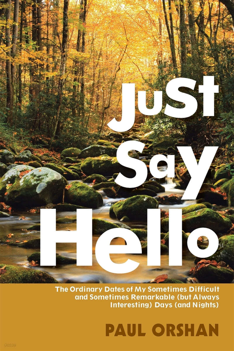 Just Say Hello: The Ordinary Dates of My Sometimes Difficult and Sometimes Remarkable (But Always Interesting) Days (and Nights)