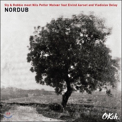 Sly & Robbie, Nils Petter Molvaer, Eivind Aarset, Vladislav Delay (  κ, ҽ  踣, ̺ Ʈ, 𽽶 ) - Nordub