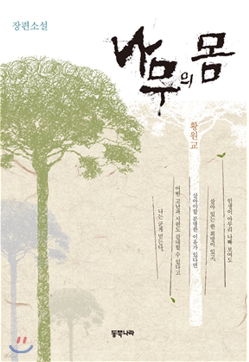 나무의 몸