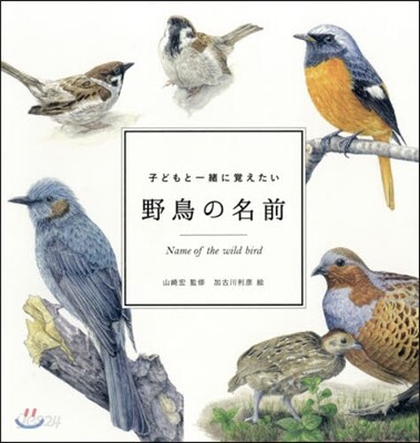 子どもと一緖に覺えたい 野鳥の名前