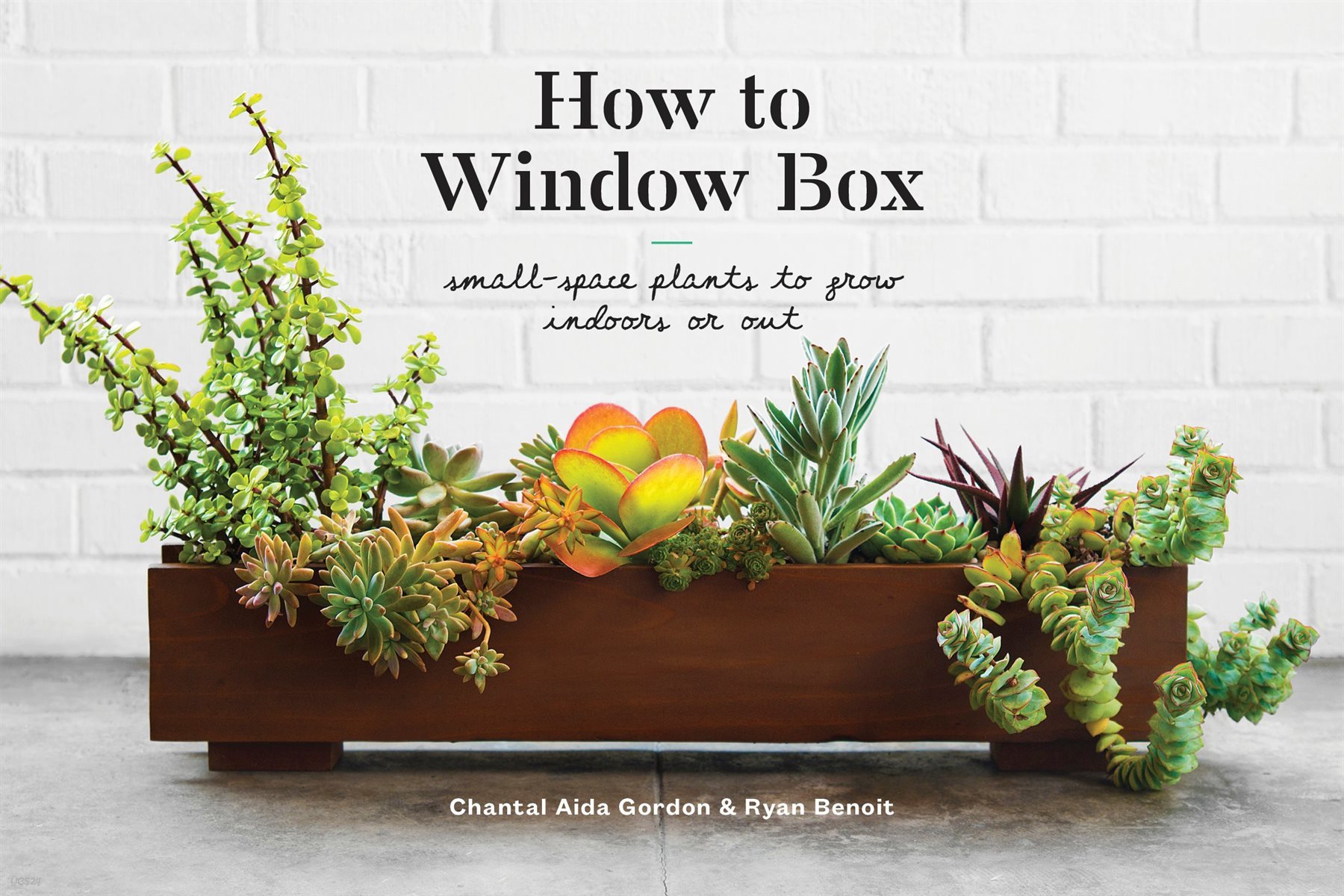 How to Window Box