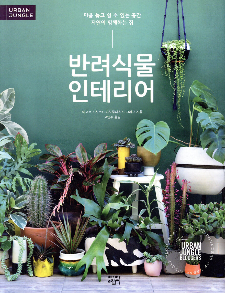 반려식물 인테리어