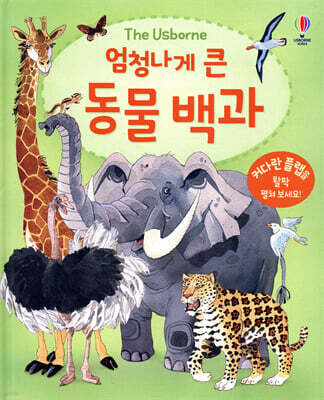 책 정보