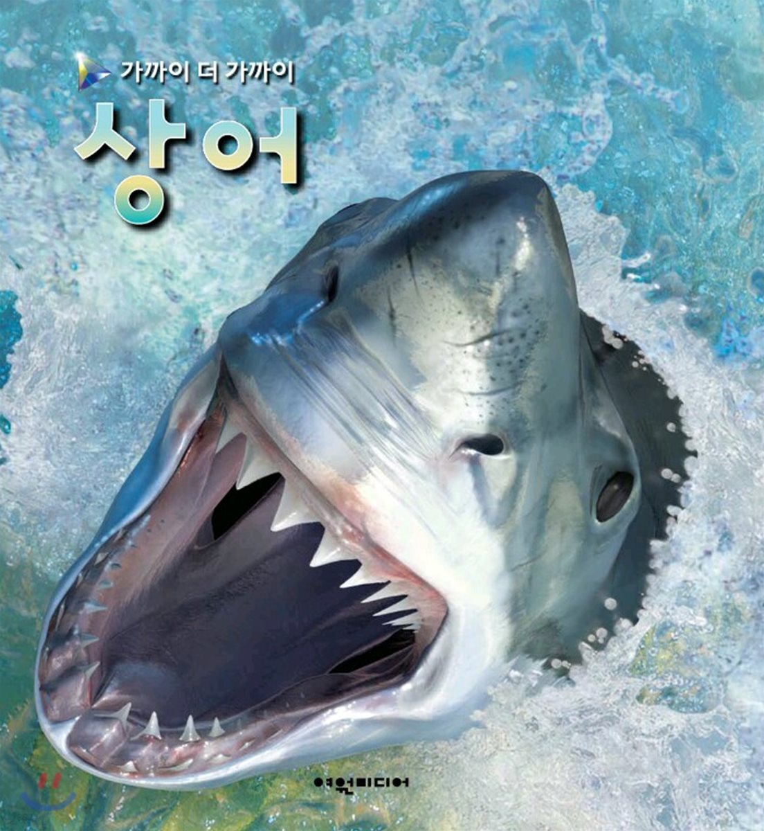 상어
