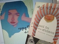 사랑을 막을 수는 없다 + 왜 날 사랑하지 않아 ? /(두권/클레르 카스티용/하단참조)