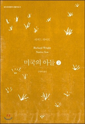 미국의 아들 2 (큰글자도서)