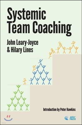 Systemic Team Coaching