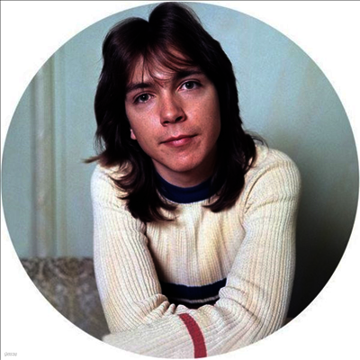 David Cassidy — I Think I Love You - Greatest Hits Live 앨범 커버