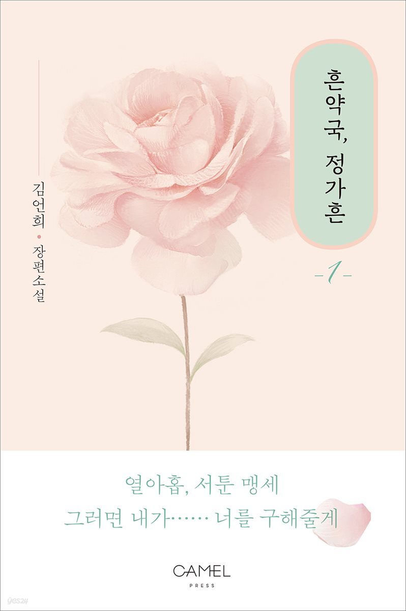 흔약국, 정가흔 1권