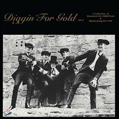Various Artists — 1960년대 리듬 앤 블루스, 펑크, 팝 음악 모음집 (Digging For Gold, Vol. 2) 앨범 커버