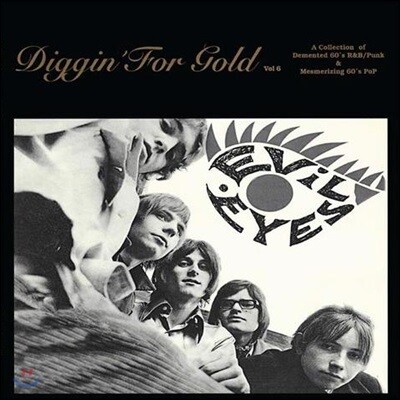 Various Artists — 1960년대 리듬 앤 블루스, 펑크, 팝 음악 모음집 (Digging For Gold, Vol. 6) 앨범 커버