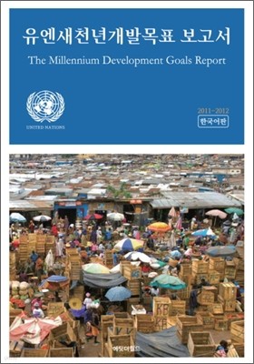 유엔새천년개발목표 보고서