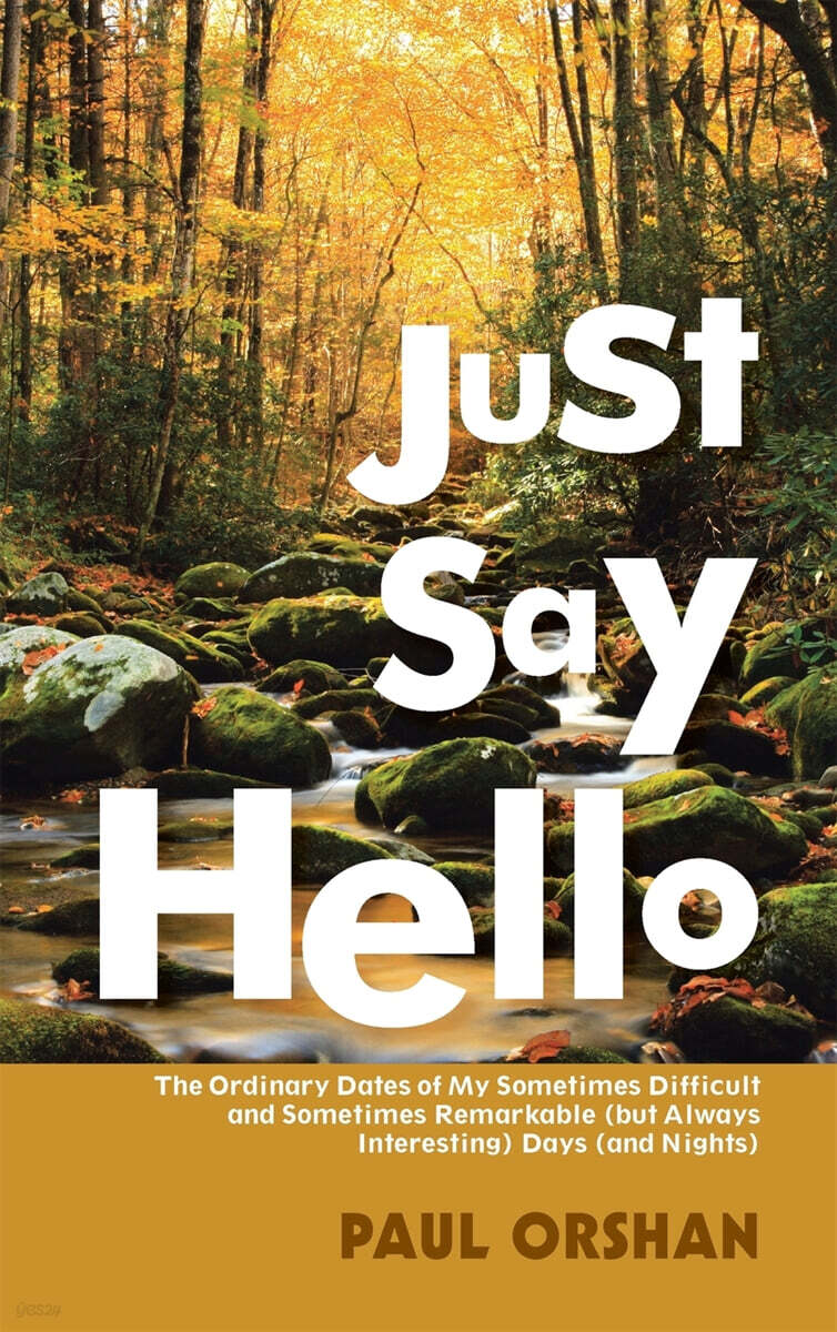 Just Say Hello: The Ordinary Dates of My Sometimes Difficult and Sometimes Remarkable (But Always Interesting) Days (and Nights)