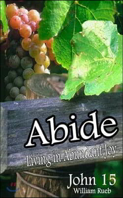 Abide: Lessons From the Vineyard