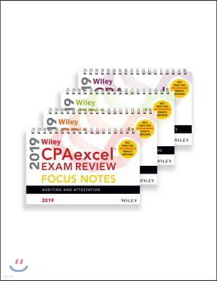 Wiley Cpaexcel Exam Review 2019 Focus Notes