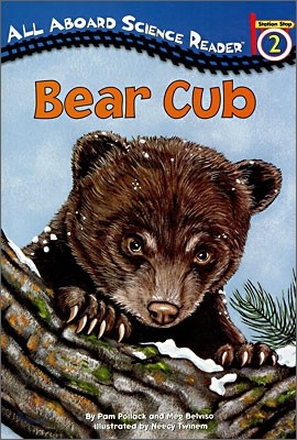 All Aboard Reading Level 2 : Bear Cub