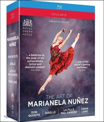 마리아넬라 누네즈의 예술 - 돈키호테, 지젤, 백조의 호수 외 (The Art Of Marianela Nunez)