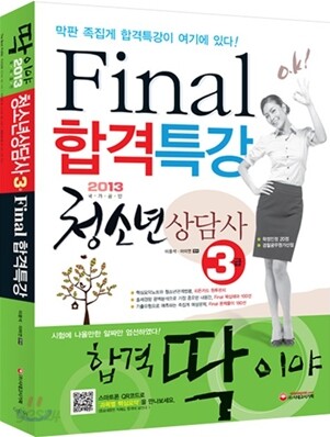 2013 청소년상담사 3급 Final 합격특강