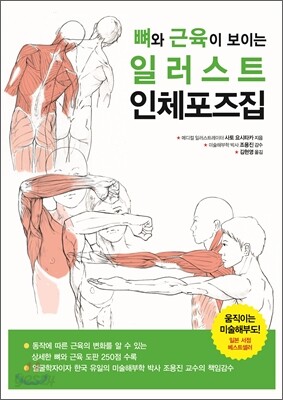 뼈와 근육이 보이는 일러스트 인체포즈집