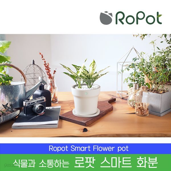 ROPOT [정품] 로팟 스마트화분 + 스노우사파이어