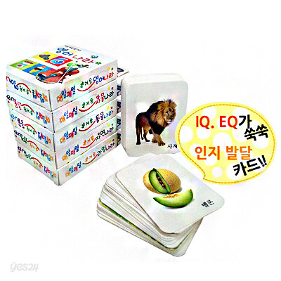 매일매일 낱말카드 5세트 (총250장)