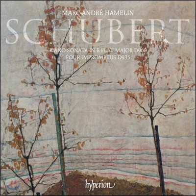 Marc-Andre Hamelin 슈베르트: 피아노 소나타 21번, 4개의 즉흥곡 - 마르크-앙드레 아믈랭 (Schubert: Piano Sonata D.960, Four Impromptus D.935)