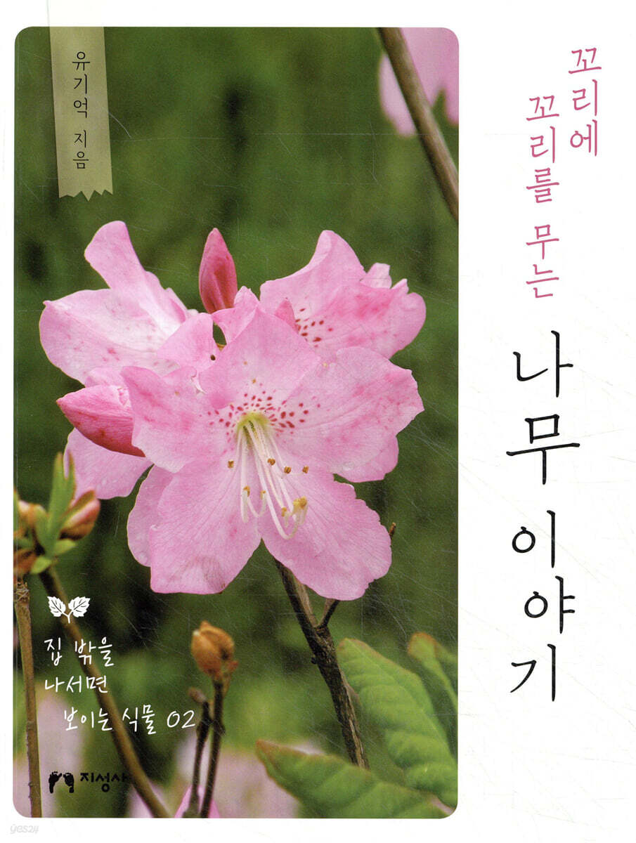 꼬리에 꼬리를 무는 나무 이야기