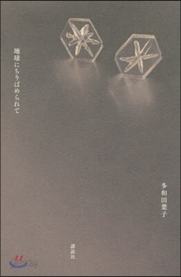 地球にちりばめられて