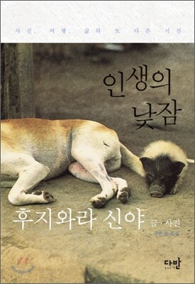 인생의 낮잠