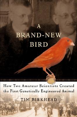 A Brand-New Bird