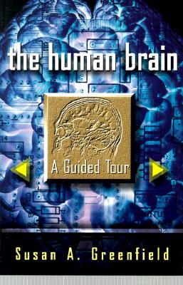 The Human Brain: A Guided Tour