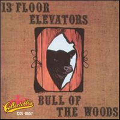 13th Floor Elevators - Bull Of The Woods