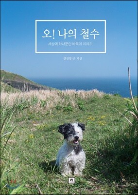 오! 나의 철수