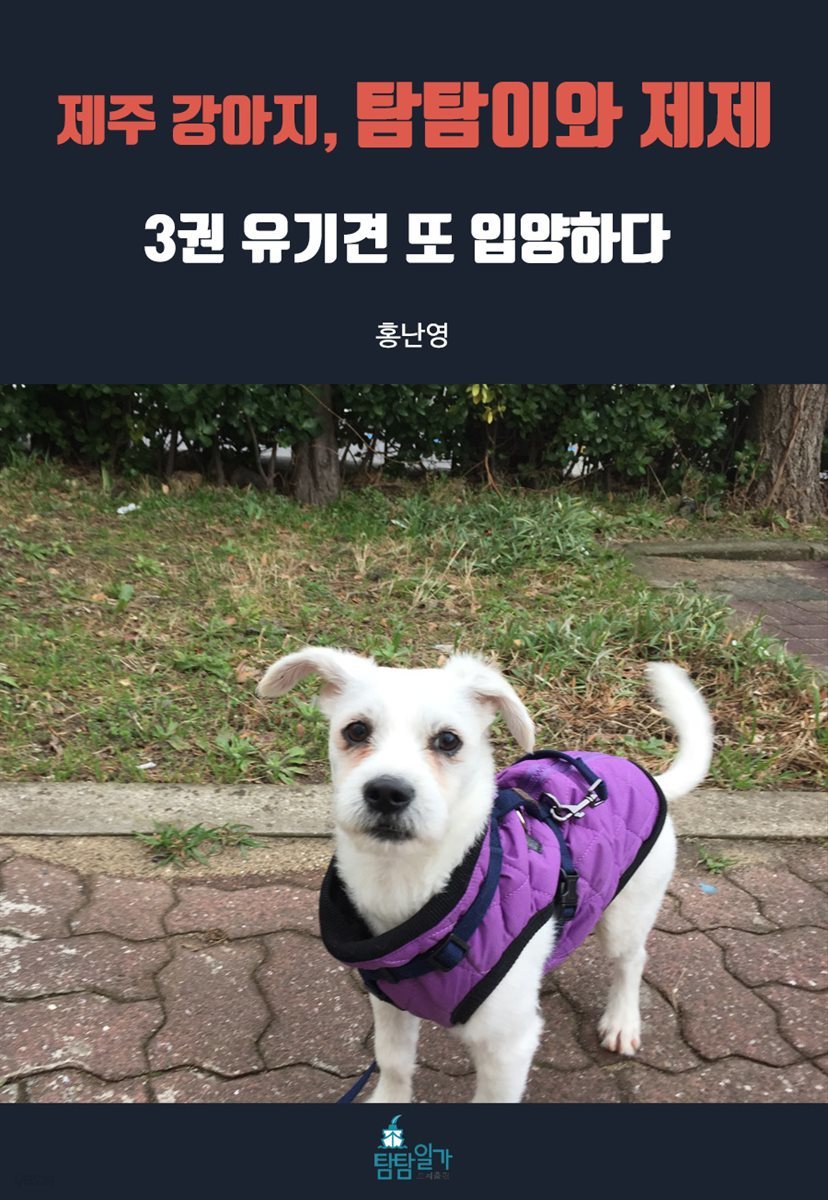 제주 강아지, 탐탐이와 제제 3권