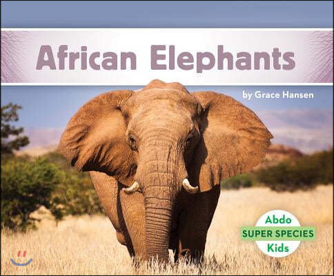 African Elephants