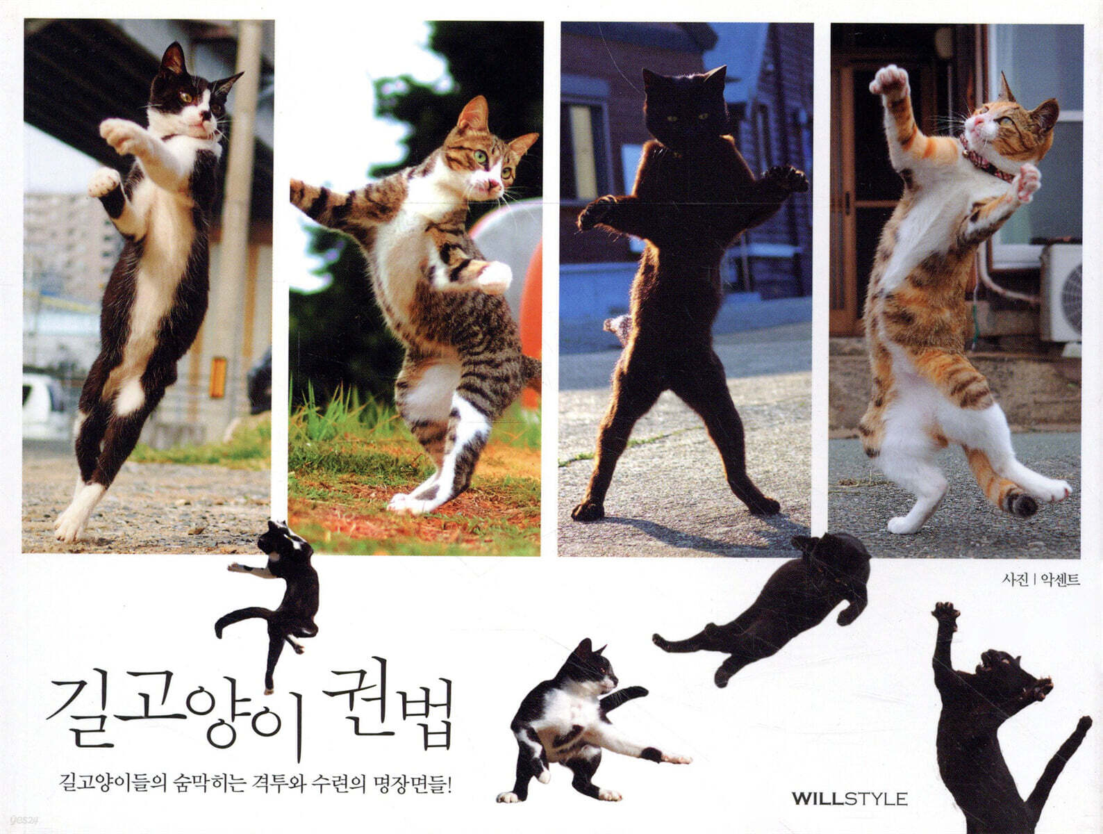 길고양이 권법