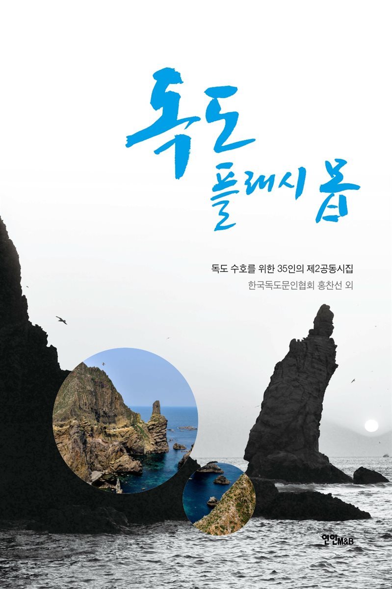 독도 플래시 몹