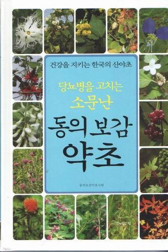 당뇨병을 고치는 소문난 동의보감 약초