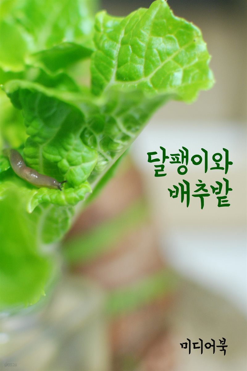 달팽이와 배추밭 - 서울교육방송 칼럼 모음집