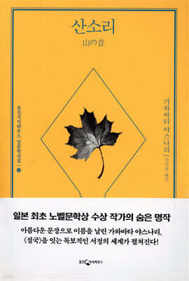 책 정보