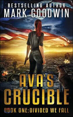 Divided We Fall: A Novel of the Coming Civil War in America