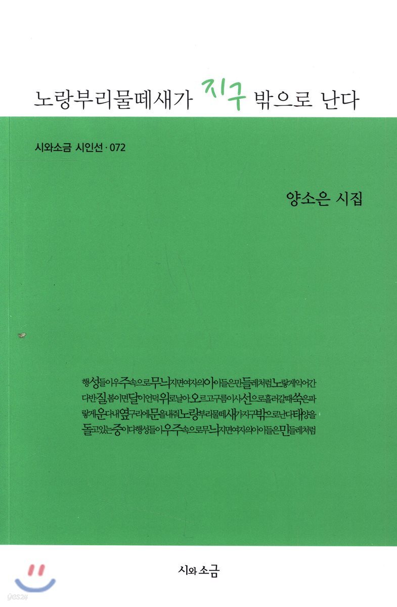 노랑부리물떼새가 지구 밖으로 난다