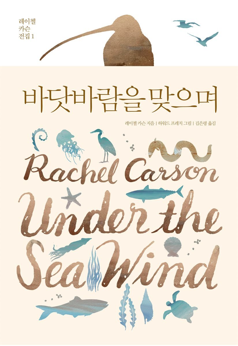 바닷바람을 맞으며