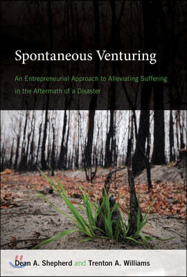 Spontaneous Venturing: An Entrepreneurial Approach to Alleviating Suffering in the Aftermath of a Disaster